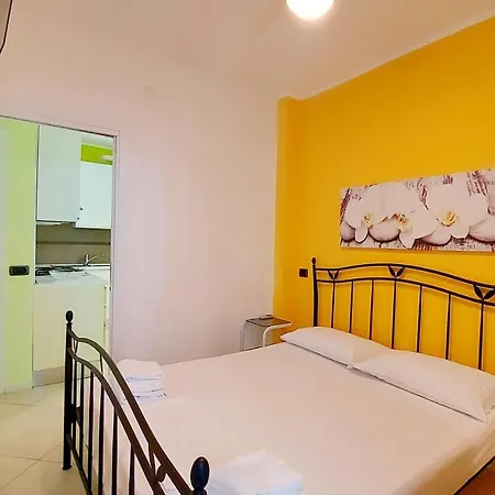 Colors Pool 巴多利诺